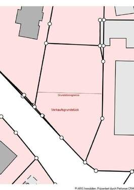 Auszug aus der Flurkarte - 