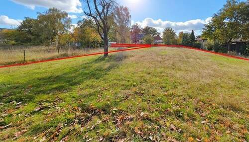 Baugrundstück - Grundstück in Eicklingen zum Kaufen