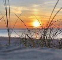 Zwei Baugrundstücke ca 200 m zur Ostsee Schnäppchenpreis ! - Glowe