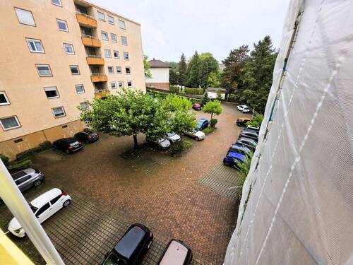 20250909_101230.jpg - 