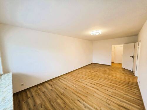 20250909_100316.jpg - 