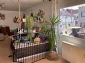 Wohn-Esszimmer - 4 Zimmer Etagenwohnung in Filderstadt