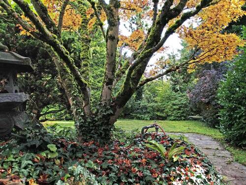 Garten - 