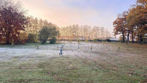 Obstwiese - 
