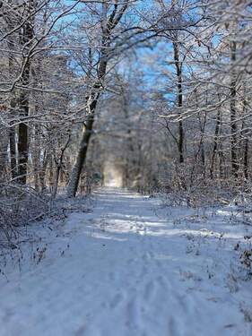 Direkt von zuhause in den Wald - 