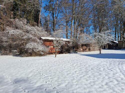 Auch im Winter ein Traum... - 