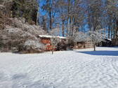 Auch im Winter ein Traum... - 