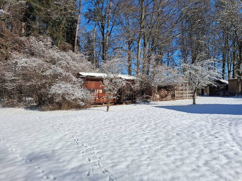 Auch im Winter ein Traum... - 