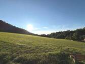 Blick vom Wintergarten aus - 