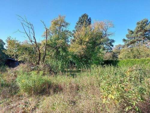 Gartenidylle_C0918FE4FDBE41E184B9FE062A6895D8.jpg - Im Alleinauftrag ! Viel Raum und Platz: Vielseitiges renovierungsbedürftiges Einfamilienhaus, zum kurzfristigen Bezug,