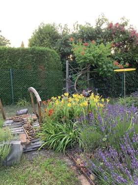 Impressionen Garten - 