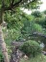 Impressionen Teich - 