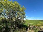 Blick vom OG in die Natur - 