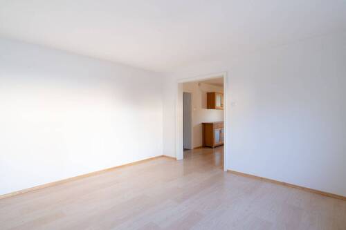 Wohn-/Esszimmer - 