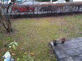 Blick vom Balkon - 