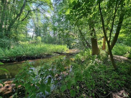 Stepenitz kleiner Fluss hinter der Scheune - 