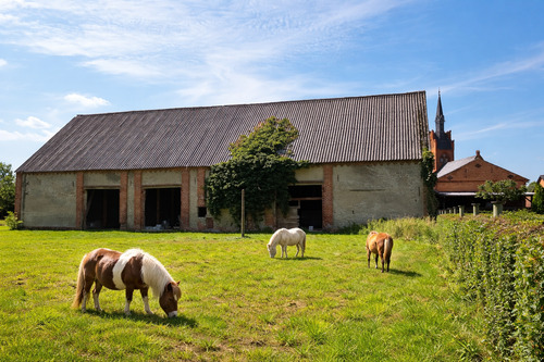 Wir machen das Gras kurz...KI - 4 Zimmer Bauernhaus, Landhaus in Putlitz