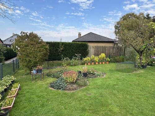 Garten - 4 Zimmer Doppelhaushälfte in Rhauderfehn / Burlage