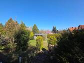 Blick in den Garten - 