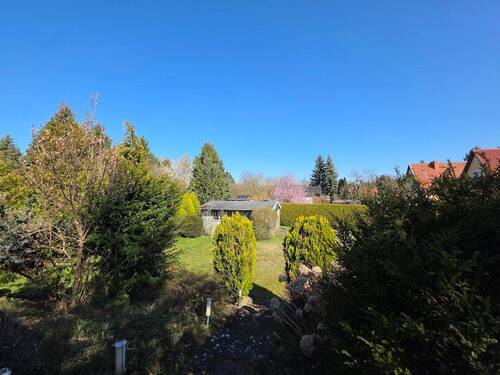 Blick in den Garten - 