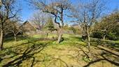 Gartenansicht 3 - 