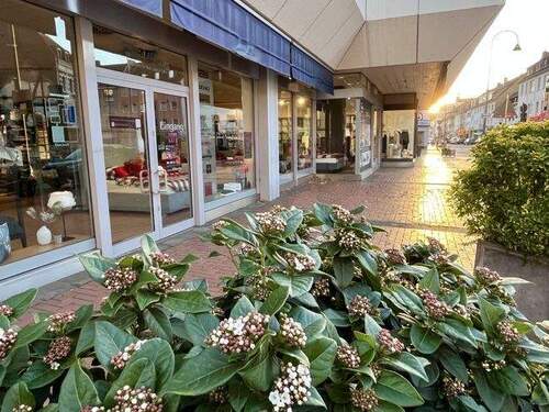 Schaufenster - Downtown: Schaufenster in Rodenkirchen