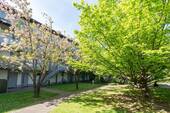 Innenhof - 