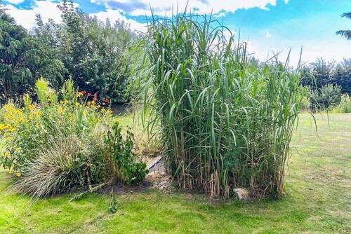 Garten Impressionen - 