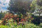Blühende Stauden im Sommer - 