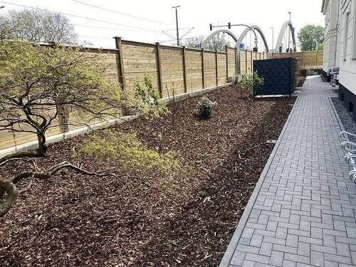 bepflanzter Vorgarten - 