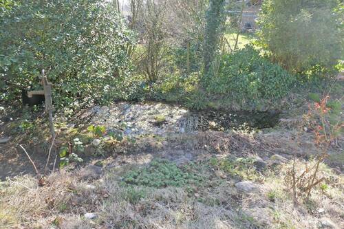 Gartenteich - 