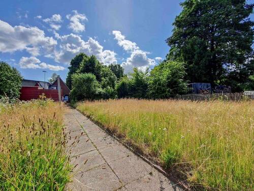 Garten / Wiese im hinteren Teil des Grundstücks - 