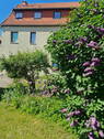 Gartenansicht - 