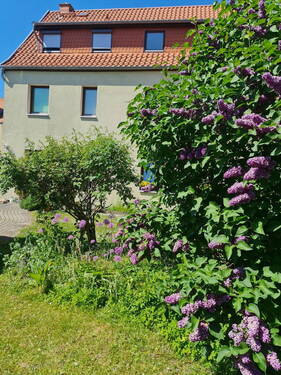 Gartenansicht - 