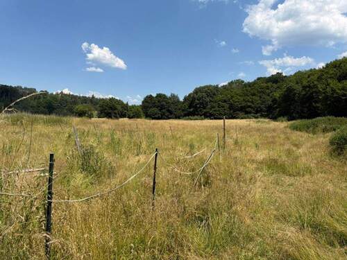 Bild 4 - Einfamilienhaus mit 472,70 m&sup2; in Runkel / Schadeck zum Kaufen