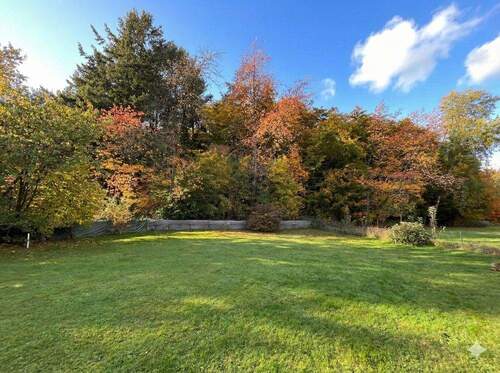 Blick in den Garten - 