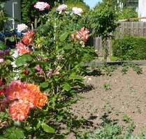 Schönes Eigentumsgrundstück als Erholungs- und Gartenfläche mitten in Bonn-Tannenbusch - einzäunen und wohlfühlen - eine Oase inmitten der Stadt
