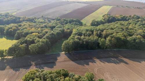 Ansicht - Laubholzflächen in Lindau - 7.000,00&nbsp;EUR Kaufpreis, ca.&nbsp; 0,00&nbsp;m&sup2;