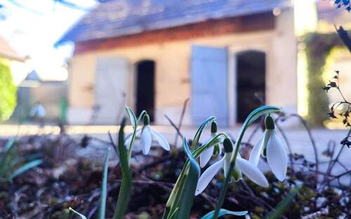 Frühling - 5 Zimmer Mehrfamilienhaus, Wohnhaus in Spreetal