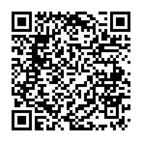 QR-Code - 