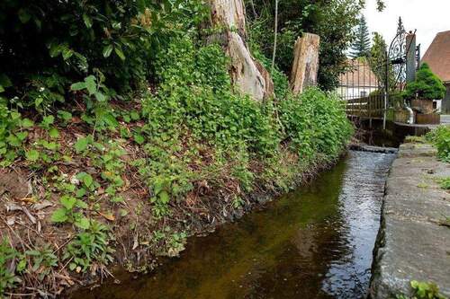 36_volkacher-str_Nbg_foto-anna-seibel.jpg - 