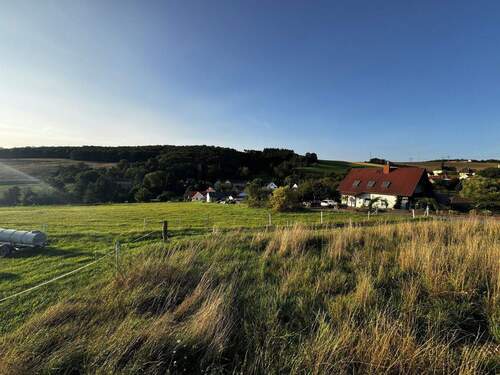 Bild 3 - Grundstück in Ransweiler