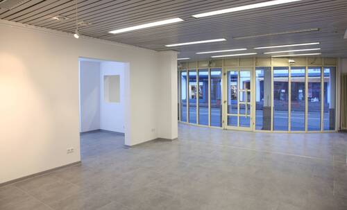 802 IMG_7510.jpg - Mehrfamilienhaus, Wohnhaus zum Kaufen in Bad Bergzabern