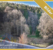 Außergewöhnlicher und großer Bauplatz mit eigenem alten Mischwald in ElmsteinSchafhof