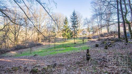 Wiese - Grundstück in Elmstein zum Kaufen