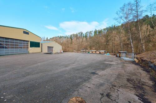 Halle 2 mit Freifläche - 