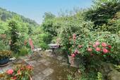 Terrasse 1 - 