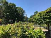 Freifläche (2) - 