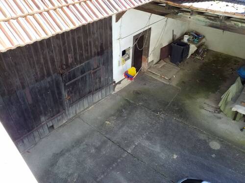 20250306_135743.jpg - 5 Zimmer Bauernhaus, Landhaus in Niederotterbach