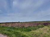 Blick vor dem Haus - 